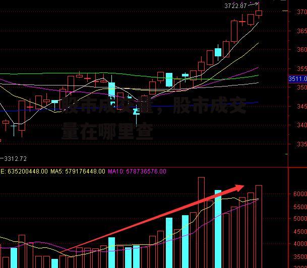 股市成交量，股市成交量在哪里查