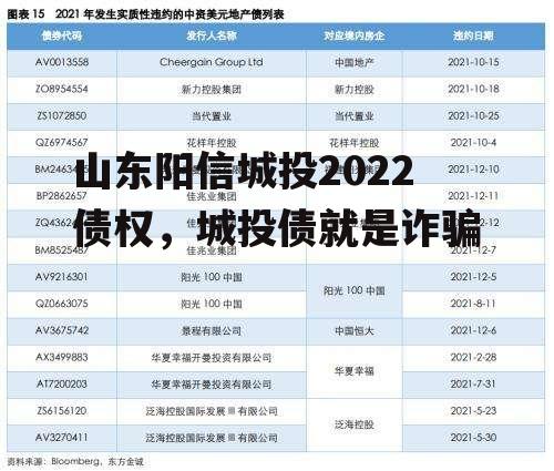 山东阳信城投2022债权，城投债就是诈骗