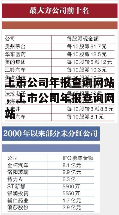 上市公司年报查询网站，上市公司年报查询网站