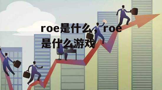 roe是什么，roe是什么游戏