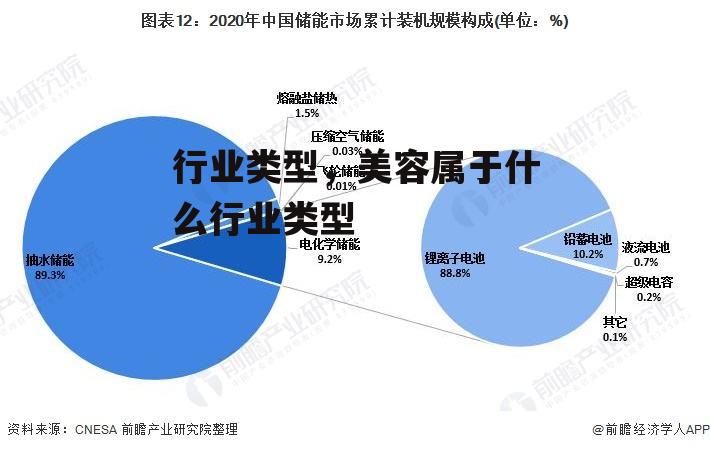 行业类型，美容属于什么行业类型