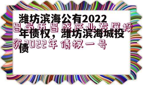 潍坊滨海公有2022年债权，潍坊滨海城投债