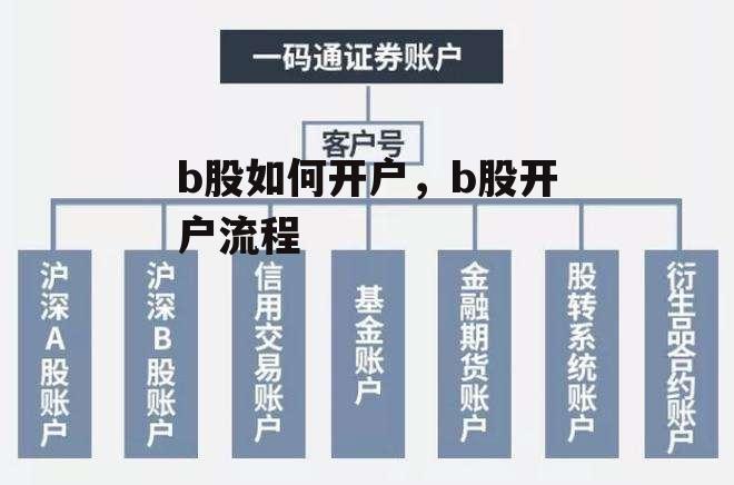 b股如何开户，b股开户流程