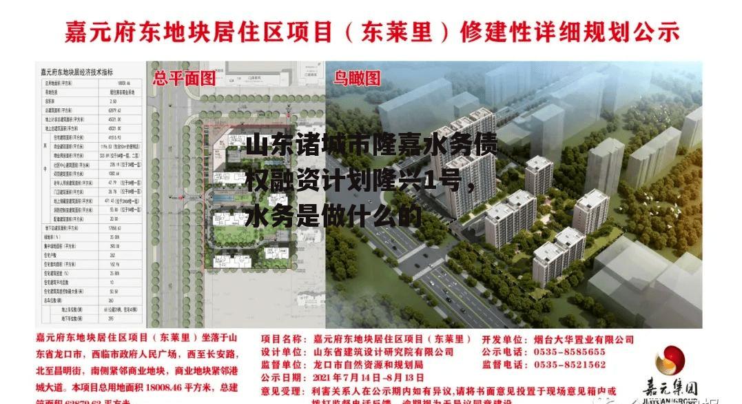 山东诸城市隆嘉水务债权融资计划隆兴1号，水务是做什么的