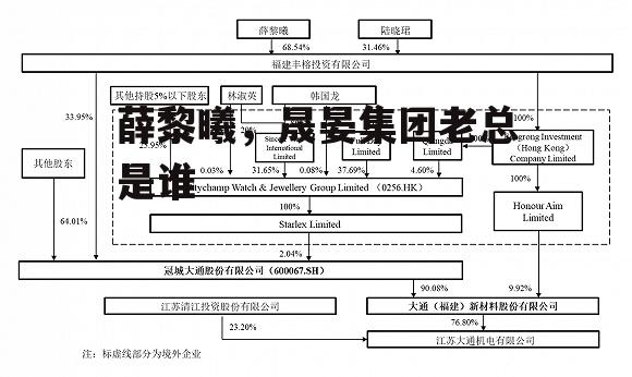 薛黎曦，晟晏集团老总是谁