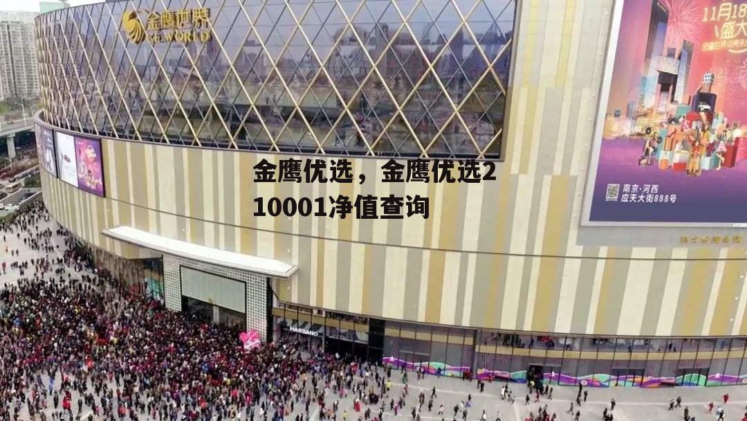 金鹰优选，金鹰优选210001净值查询