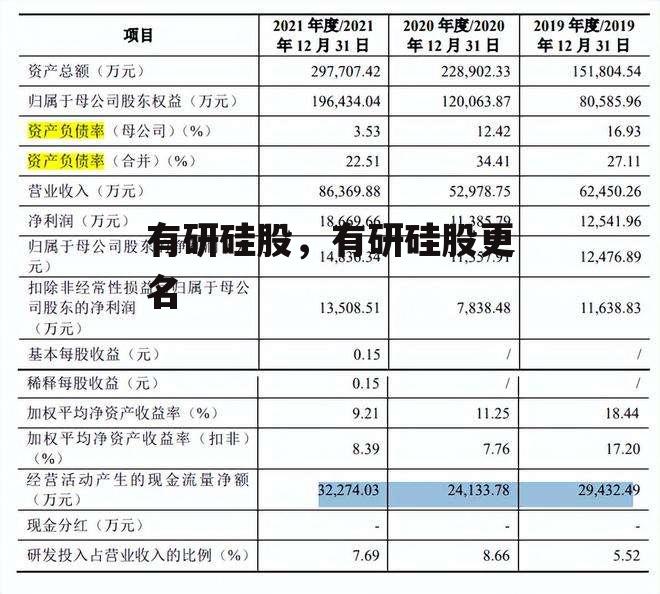 有研硅股，有研硅股更名