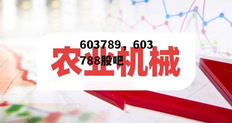 603789，603788股吧