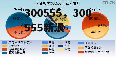 300555，300555新浪