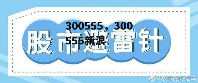 300555，300555新浪