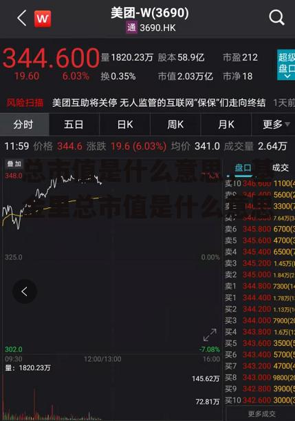 总市值是什么意思，基金里总市值是什么意思