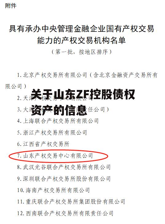 关于山东ZF控股债权资产的信息