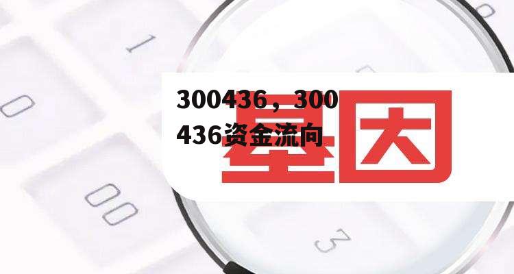 300436，300436资金流向