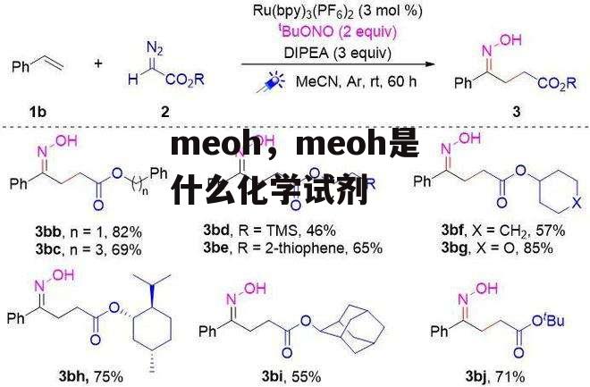 meoh，meoh是什么化学试剂