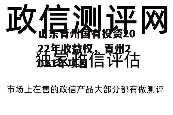 山东青州国有投资2022年收益权，青州2021年项目