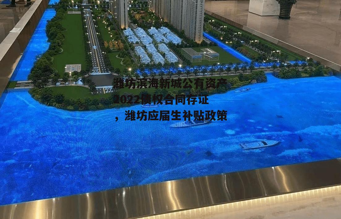 潍坊滨海新城公有资产2022债权合同存证，潍坊应届生补贴政策