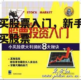 购买股票入门，新手入门买股票