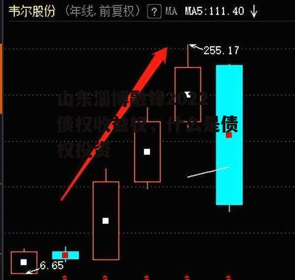 山东淄博融锋2022债权收益权，什么是债权投资