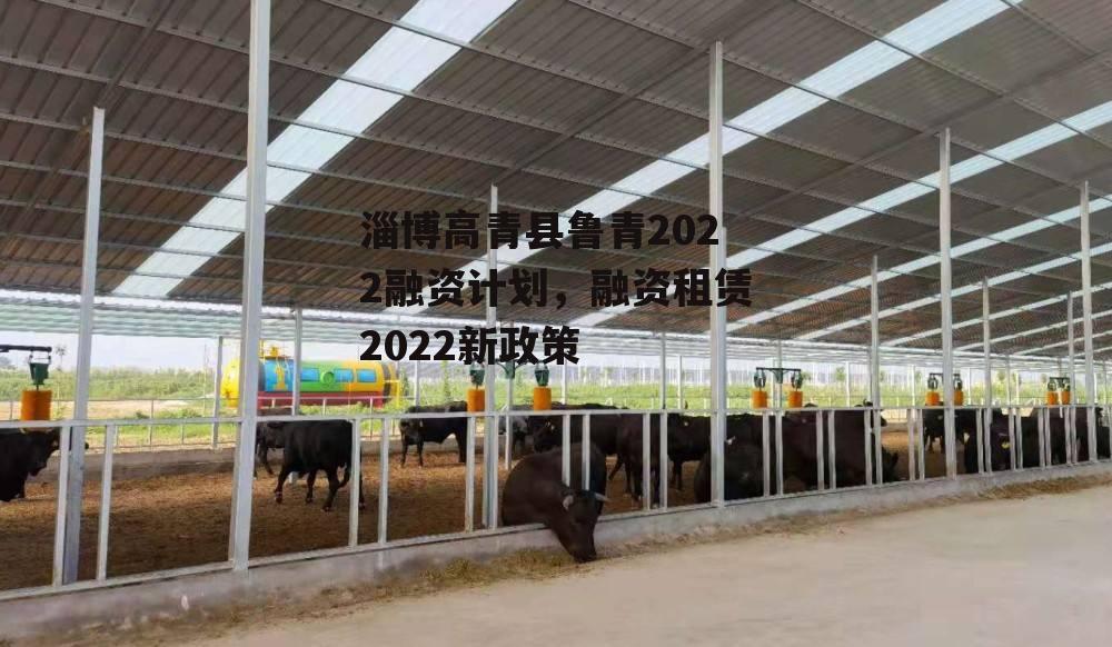 淄博高青县鲁青2022融资计划，融资租赁2022新政策