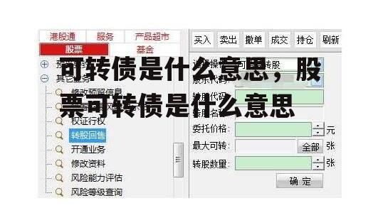 可转债是什么意思，股票可转债是什么意思