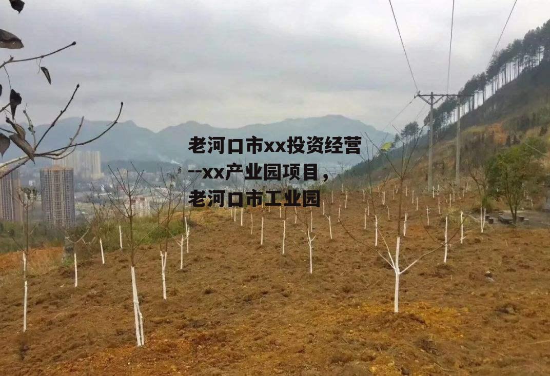 老河口市xx投资经营--xx产业园项目，老河口市工业园