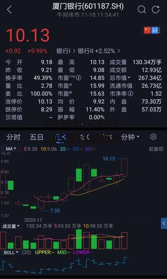 601995，601995是科创板吗