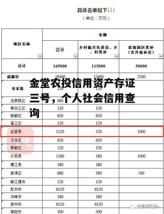 金堂农投信用资产存证三号，个人社会信用查询