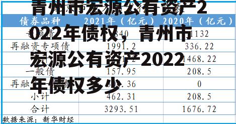 青州市宏源公有资产2022年债权，青州市宏源公有资产2022年债权多少