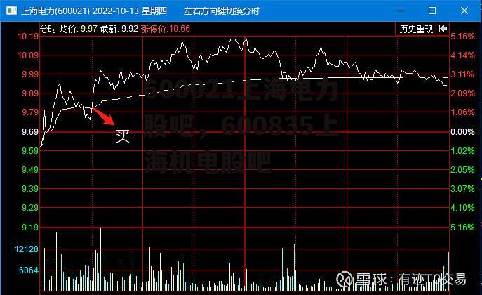 600021上海电力股吧，600835上海机电股吧