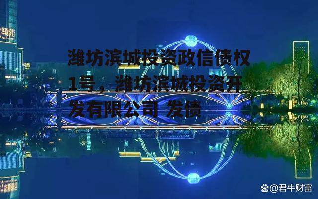 潍坊滨城投资政信债权1号，潍坊滨城投资开发有限公司 发债