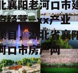 湖北襄阳老河口市建设投资经营--xx产业园项目，湖北省襄阳市老河口市房产网