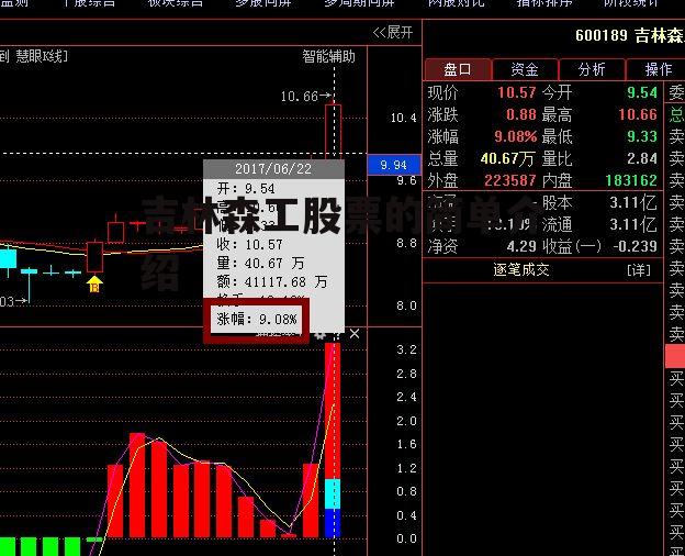 吉林森工股票的简单介绍