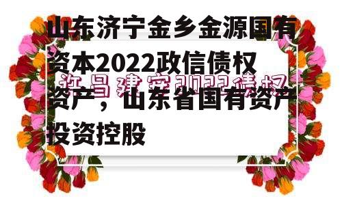 山东济宁金乡金源国有资本2022政信债权资产，山东省国有资产投资控股