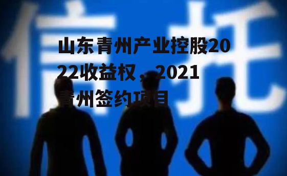 山东青州产业控股2022收益权，2021青州签约项目