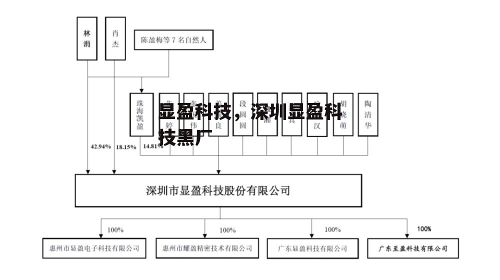 显盈科技，深圳显盈科技黑厂