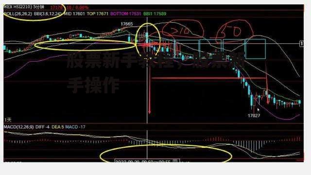 股票新手教程，股票新手操作