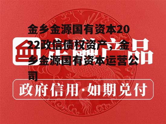 金乡金源国有资本2022政信债权资产，金乡金源国有资本运营公司