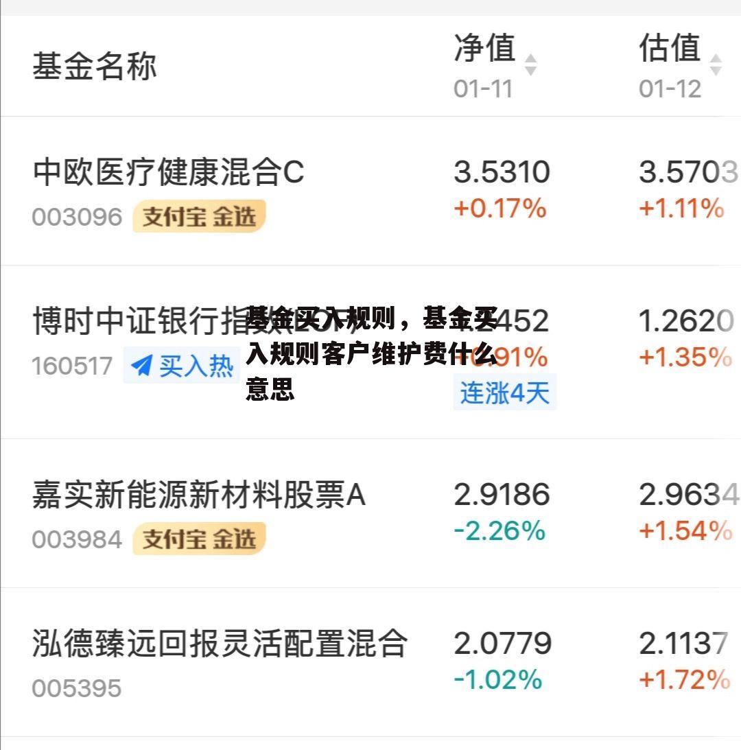基金买入规则，基金买入规则客户维护费什么意思