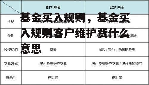 基金买入规则，基金买入规则客户维护费什么意思