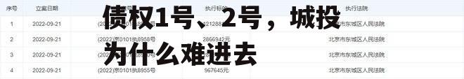 山东潍坊滨海新城城投债权1号、2号，城投为什么难进去