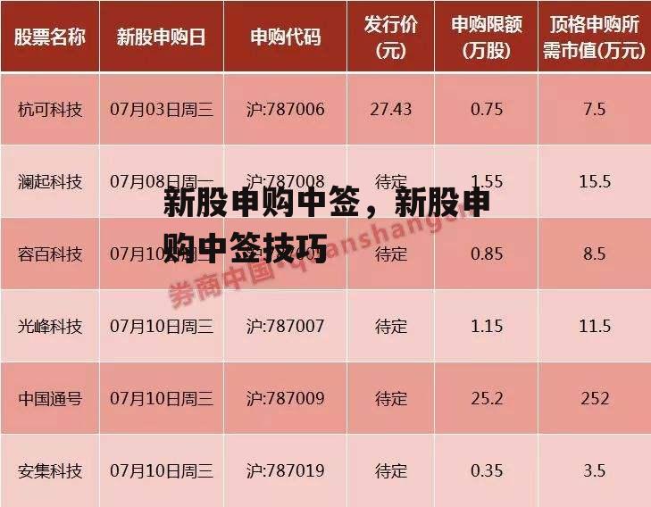 新股申购中签，新股申购中签技巧