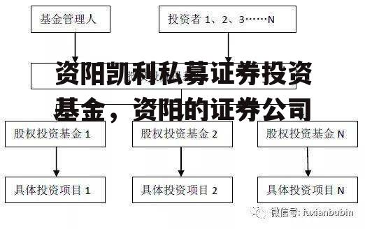 资阳凯利私募证券投资基金，资阳的证券公司