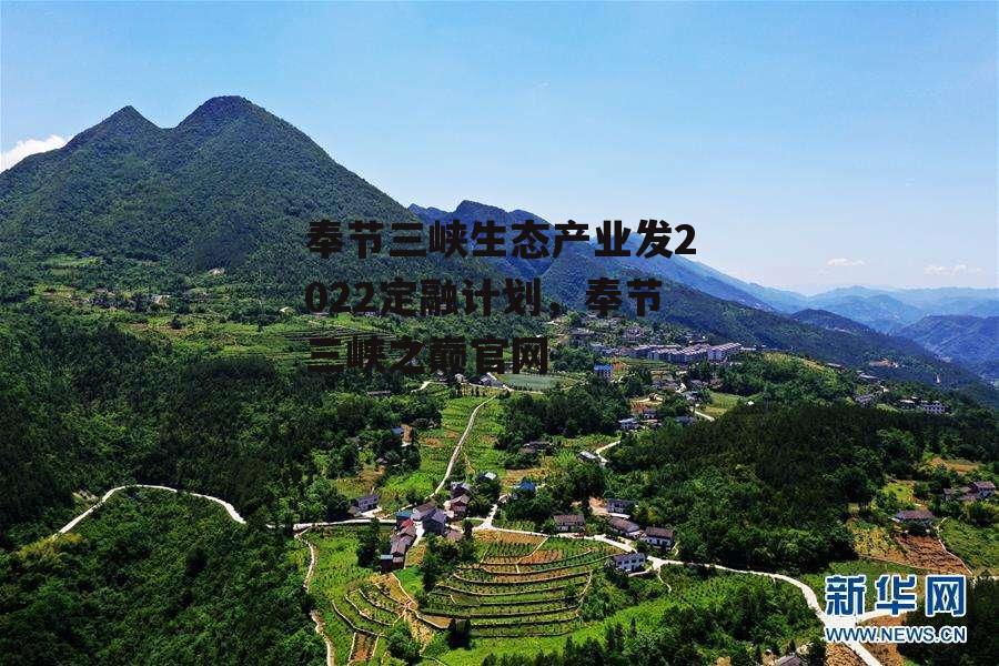 奉节三峡生态产业发2022定融计划，奉节三峡之巅官网