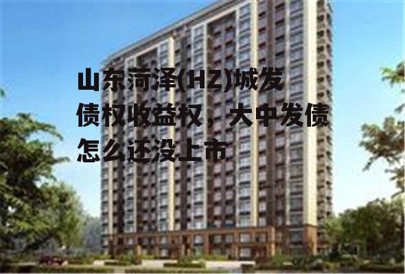 山东菏泽(HZ)城发债权收益权，大中发债怎么还没上市