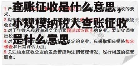 查账征收是什么意思，小规模纳税人查账征收是什么意思