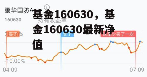 基金160630，基金160630最新净值