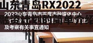 山东青岛RX2022融资计划的简单介绍