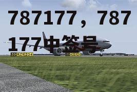 787177，787177中签号