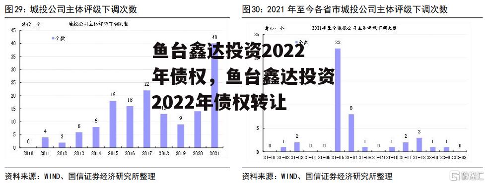 鱼台鑫达投资2022年债权，鱼台鑫达投资2022年债权转让