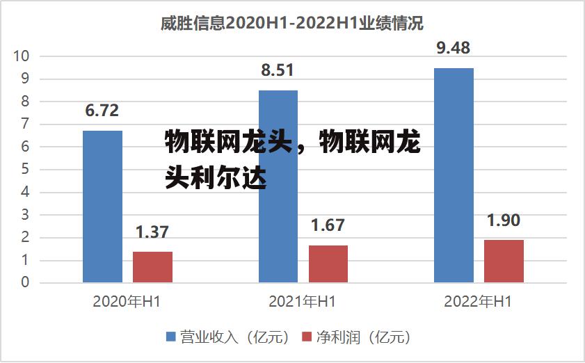 物联网龙头，物联网龙头利尔达